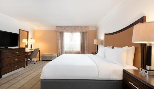 Standard King Room