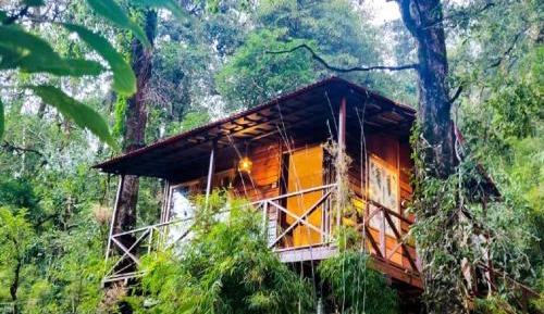 Machaan tent