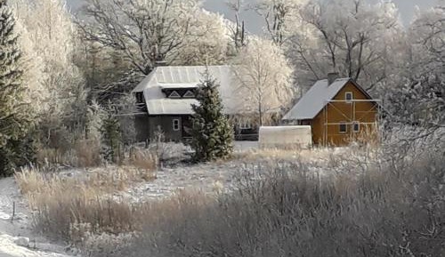 One-Bedroom Chalet