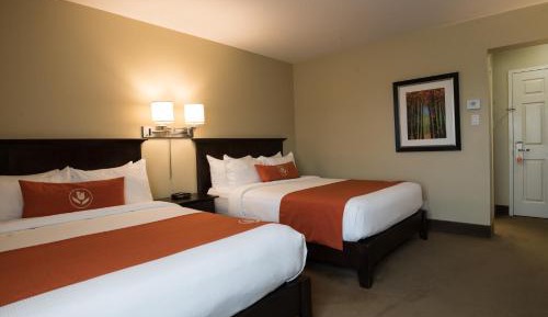 Standard Queen Room with Two Queen Beds