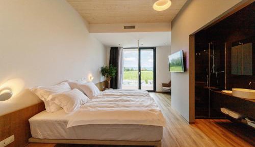 Double or Twin Room with Dancing Pole