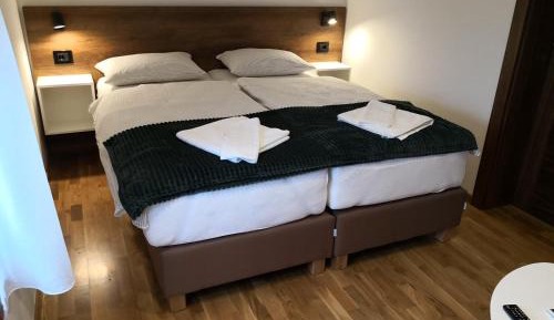 Double or Twin Room with Mountain View