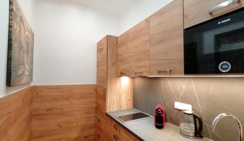 Studio Apartment with City View