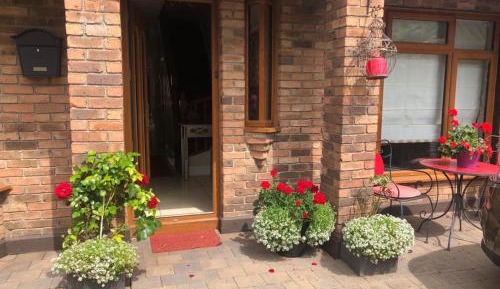 The Summer Double Rose Room