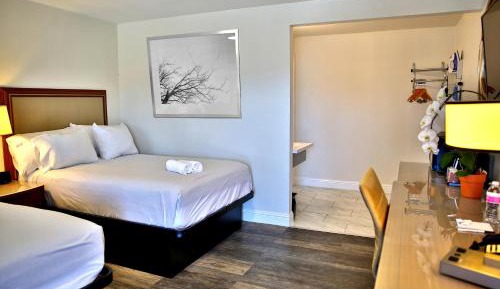 Deluxe Double Room with Two Double Beds - Non-Smoking