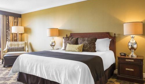 Premier Signature Pool view - 1 King Bed