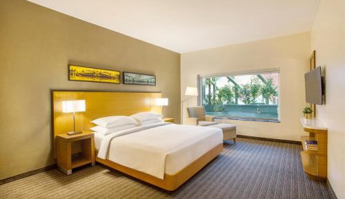 Deluxe Suite 