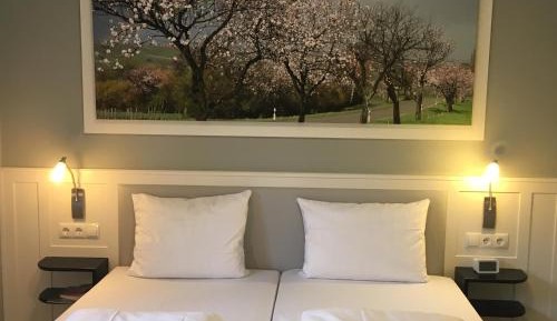 Double or Twin Room