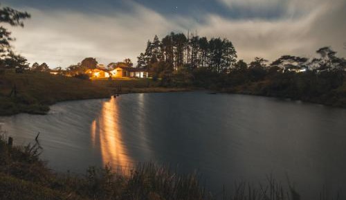 Bungalow