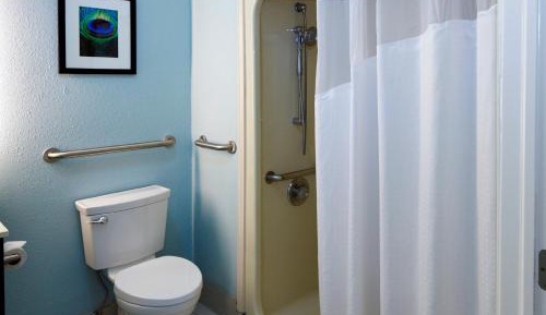 Standard King Room with Roll-in Shower - Mobility Accessible