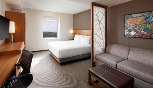 King Room with Sofa Bed