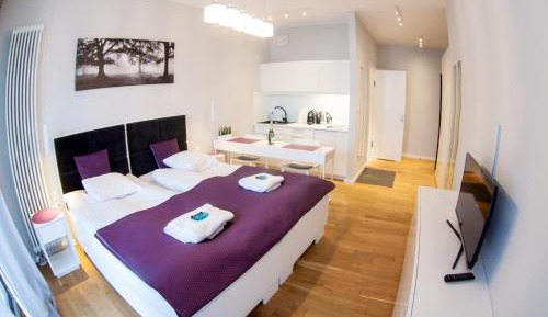 Deluxe Apartment with Terrace