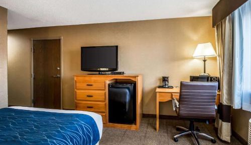 Queen Room with Roll-In Shower - Disability Access