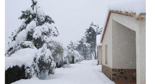  Holiday Home 5
