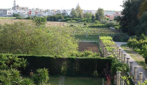 Double Room with Terrace