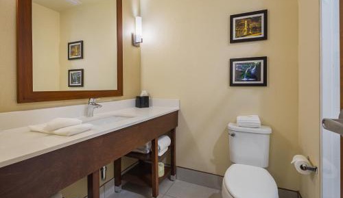 King Suite with Roll-in-Shower - Accessible/Non-Smoking