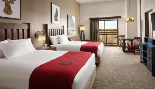 Brown Bear Suite