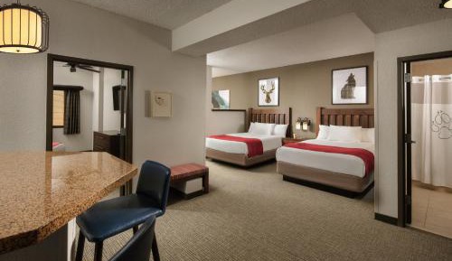 Grand Bear Suite