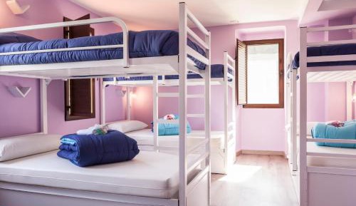 Bed in 8-Bed Dormitory Room