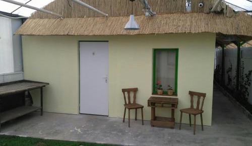 Quadruple Room with Shared Bathroom