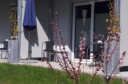 Apartment with Garden View