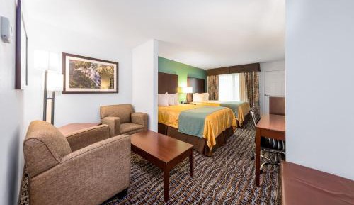 King Suite - Not Pet Friendly