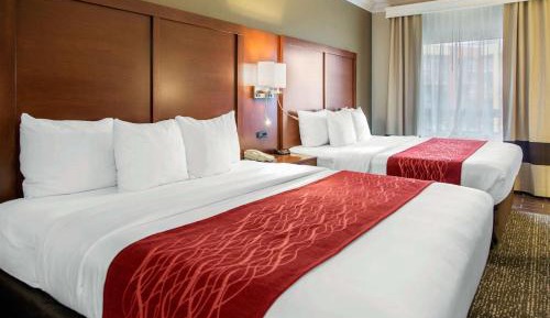 King Room with Two King Beds