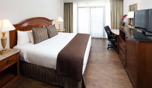 King Room