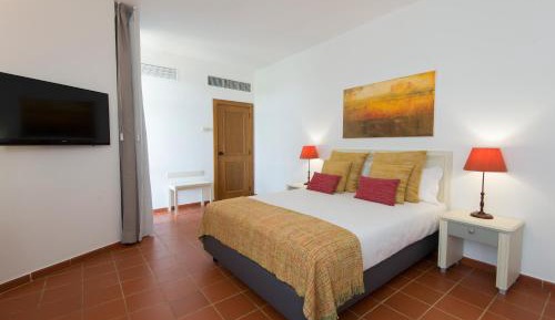 Superior Double or Twin Room with Mountain View