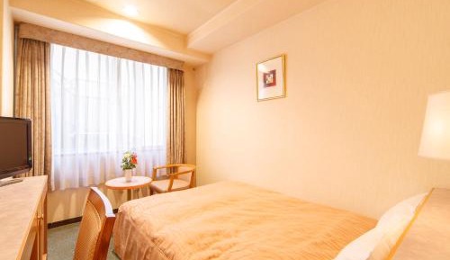 Double Room - Non-Smoking 