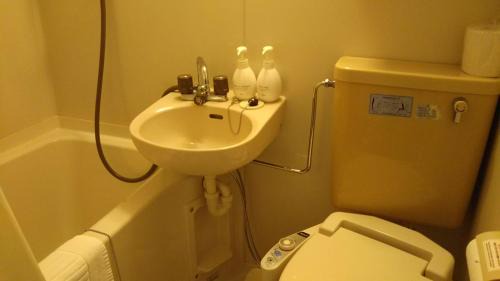Deluxe Twin Room B  