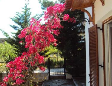 one bedroom holiday home
