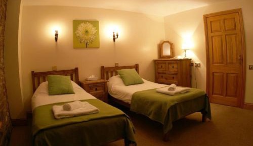 Twin Room (Pet Friendly) 