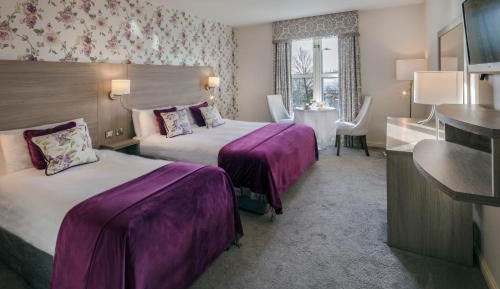 Deluxe Double or Twin Room with River View