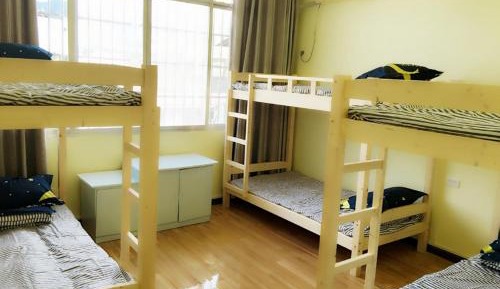 Bed in 6-Bed Dormitory Room