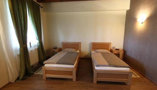 Twin Room with Lake View
