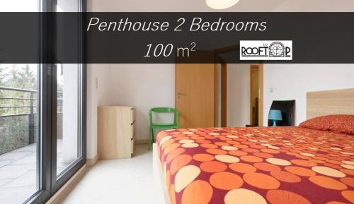 Penthouse Apartment