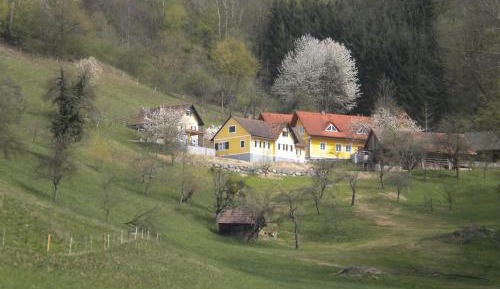 Holiday Home
