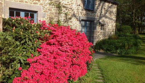 Cottage 2 - La Graniterie