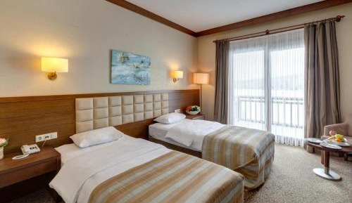  Twin Room with Mountain View