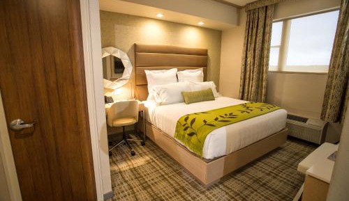 Standard King Room