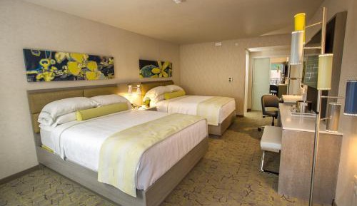 Double Room with Terrace