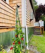 Bow Cabin | Beachfront Cottage - Samish Island