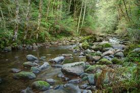 Rhododendron Cabin | Make memories at the creekside Moondance Cabin, decks, BBQ, hot tub