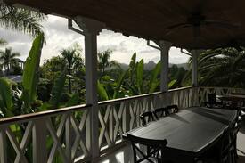 Caguana Other | Monte Sagrado Reserve- coffee+river+activities