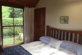 Havelock North Other | Endsleigh Cottages, The Little Cottage