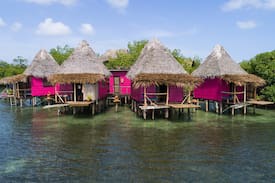 Punta Laurel Other | Urraca Private Island Eco-Lodge
