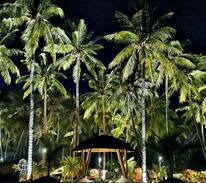 Wodong House | Coconut Beach Maumere 6 adult