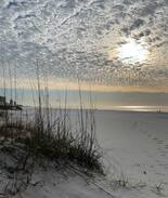 Ono Island Other | Orange Beach, AL, SeaScape 101, Beach Life