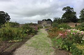 Moneygall Cabin | Idyllic secluded Walled Garden Cottage Retreat